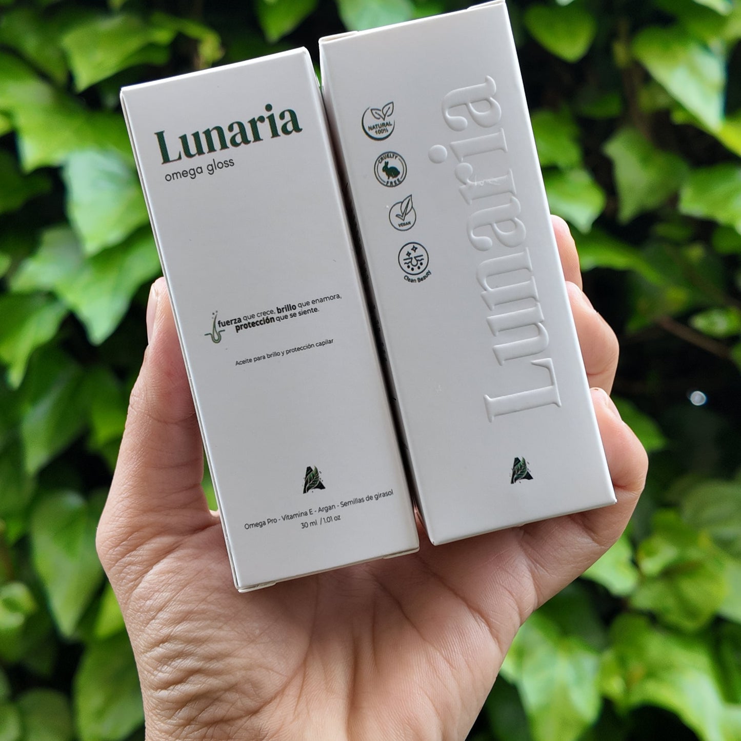 LUNARIA OMEGA GLOSS